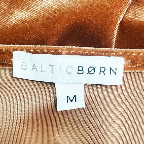 Baltic Born Rust Velvet Maxi Dress - Picture 13 of 15